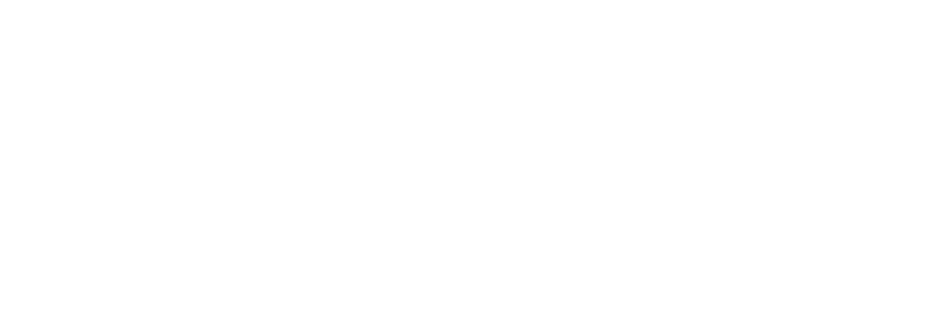skin solutions dermatology logo white (1)
