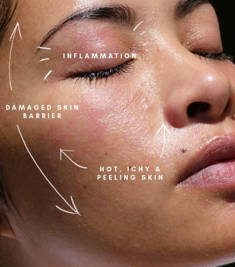 Screenshot-2025-12-22-at-8.41.28-PM