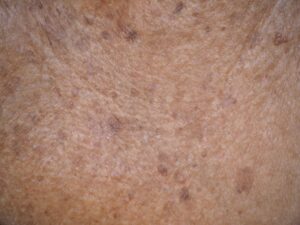 shutterstock 1350122405 compressed