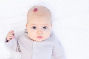 shutterstock 2084051740 compressed